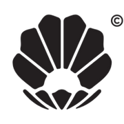 Lanuuk