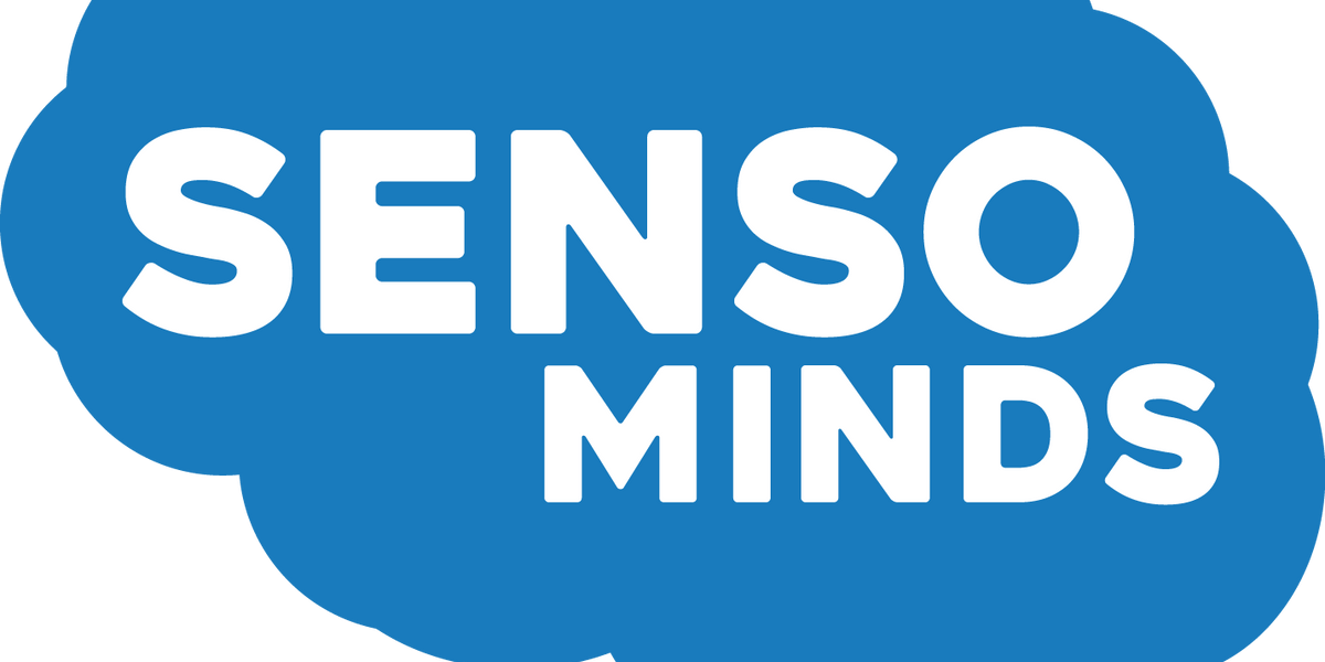 Senso Minds